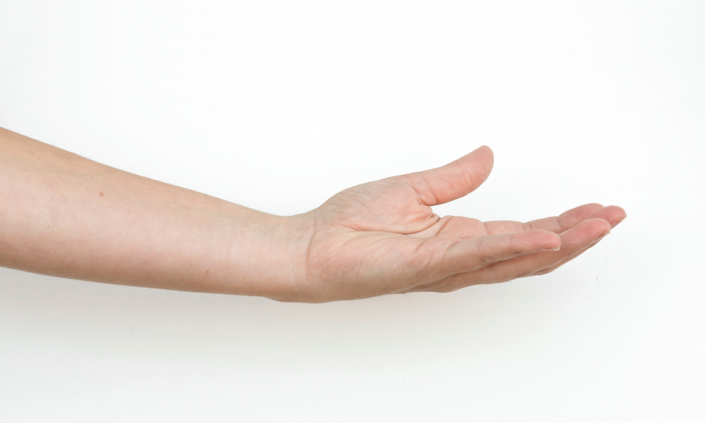 保存版 イエベ ブルベとは 今さら聞けないパーソナルカラーの基本 パーソナルカラー診断のcolors